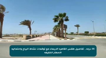 35 درجة.. تفاصيل طقس القاهرة الأربعاء مع توقعات نشاط الرياح واحتمالية الأمطار الخفيفة